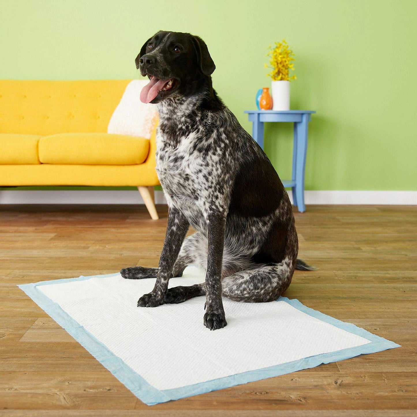 Four Paws Wee-Wee Pads, Gigantic, 18 per Pack (4 Packs)