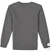 Calvin Klein Boys' Long Sleeve Logo Design French Terry Crewneck Tee (US, Alpha, Large, Regular, Grey)