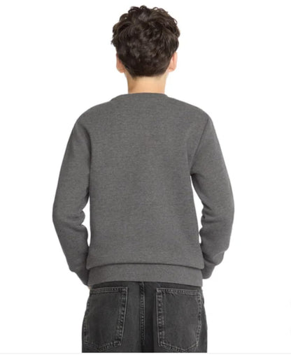 Calvin Klein Boys' Long Sleeve Logo Design French Terry Crewneck Tee (US, Alpha, Large, Regular, Grey)