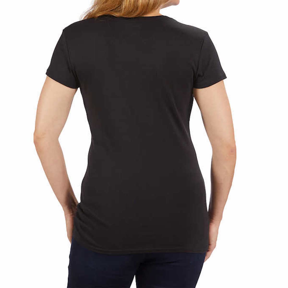 KIRKLAND Signature Women's V-Neck Short Sleeve Peruvian Pima Cotton T-Shirt (Medium, Grey)