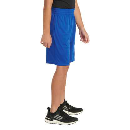 adidas Kids ESS24 Performance Short(Big Kid) Blue Royal XL (16 Big Kids)