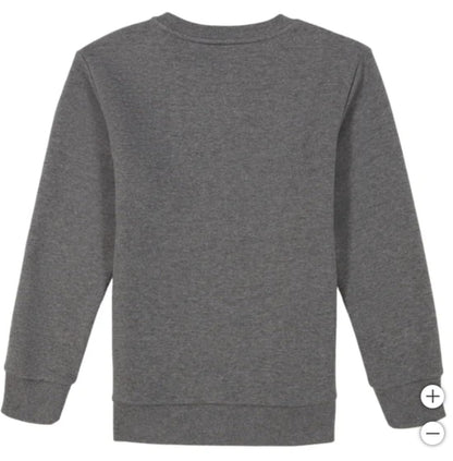 Calvin Klein Boys' Long Sleeve Logo Design French Terry Crewneck Tee (US, Alpha, Large, Regular, Grey)