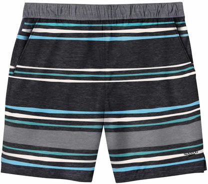 Speedo Mens Hydro Volley Swim Shorts Black (as1, Alpha, x_l, Regular, Regular, Gray Stripe)