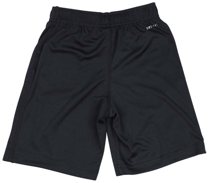 NIKE Little Boys' (4-7) Performance Swoosh Shorts-Black-6