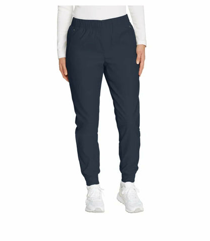 Eddie Bauer Women's Rainier Fleece Lined Jogger Pant (US, Numeric, 16, Regular, Regular, Navy)